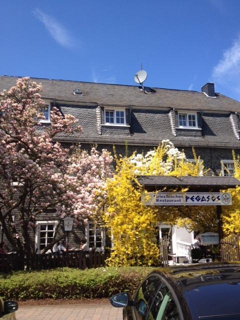 Hotel Friedrich Hachenburg Zewnętrze zdjęcie